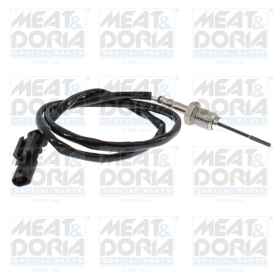 Sensor, exhaust gas temperature